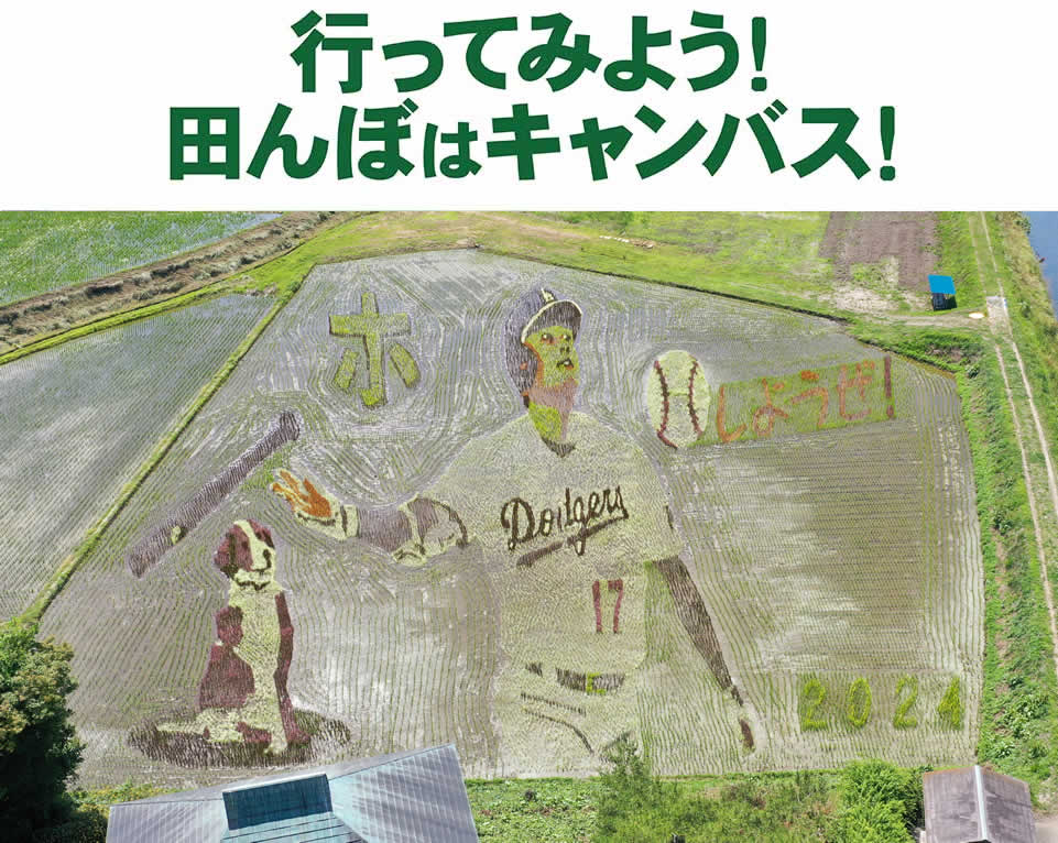 田んぼアート
