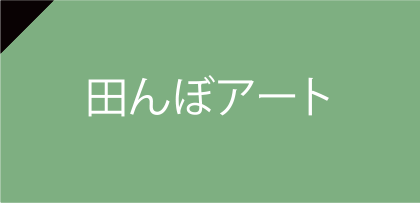 田んぼアート